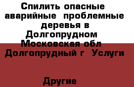 Спилить опасные, аварийные, проблемные деревья в Долгопрудном - Московская обл., Долгопрудный г. Услуги » Другие   